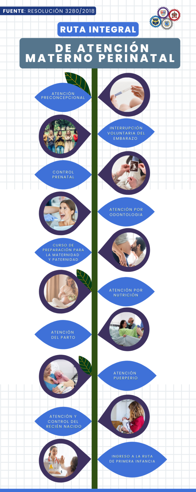 Ruta Materno Perinatal