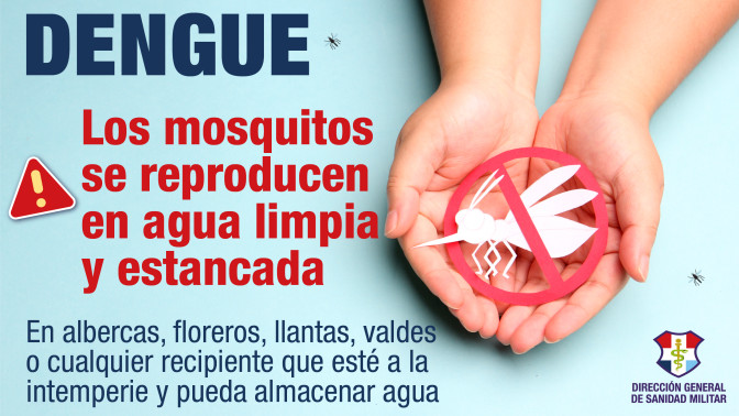 Dengue-01
