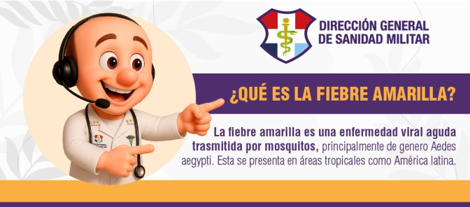  Que es la fiebre amarilla 