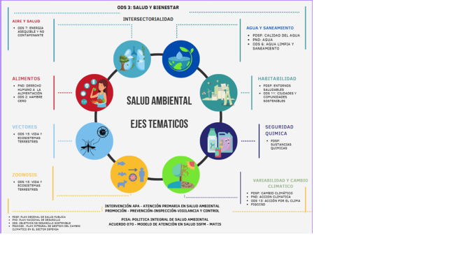 Salud Ambiental