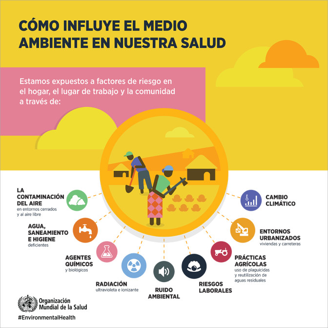 Entornos saludables y educación sanitaria