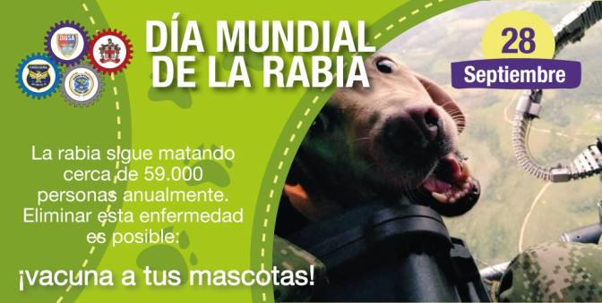 Zoonosis y tenencia responsable de mascotas
