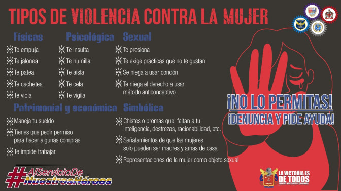 Tipos de violencia contra la mujer