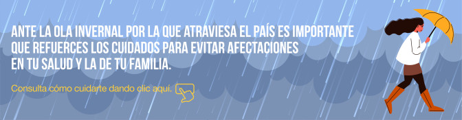 PRECAUCIONES DURANTE LA OLA INVERNAL