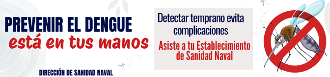 PREVENCIÓN DENGUE