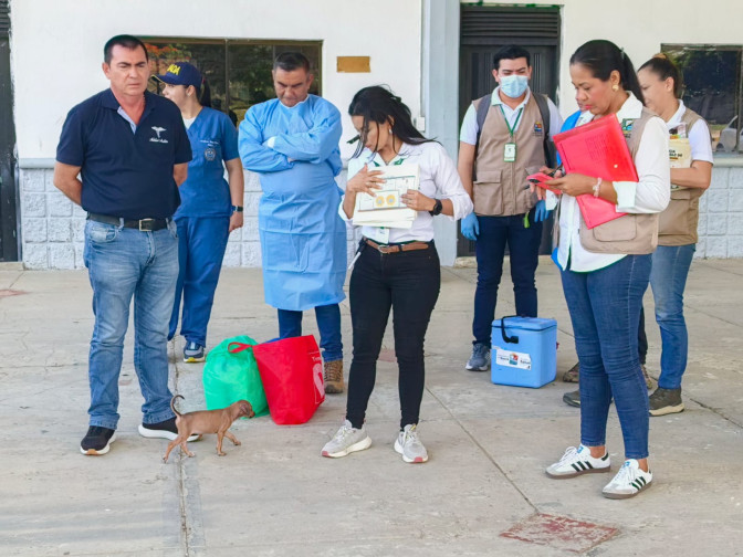 ACTIVIDAD DMCOV 3