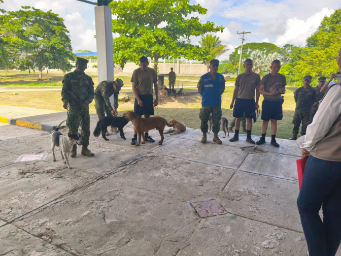 ACTIVIDAD DMCOV