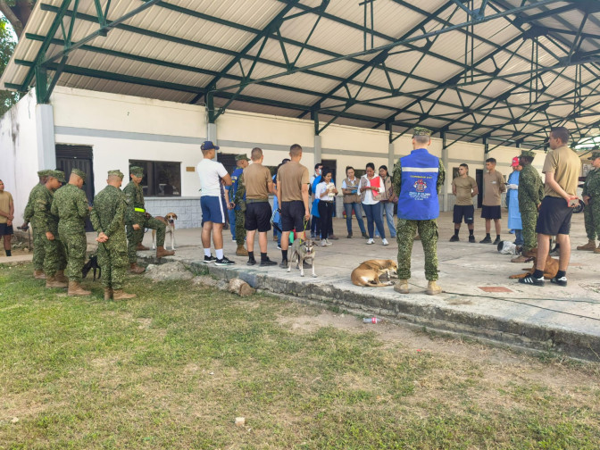 ACTIVIDAD DMCOV 1