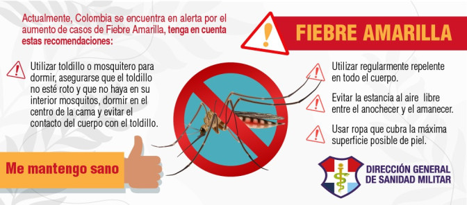 FIEBRE AMARILLA _1_