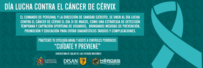 cancer-cervix-DISAN.jpg