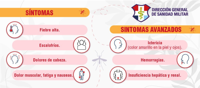 FIEBRE AMARILLA _3_