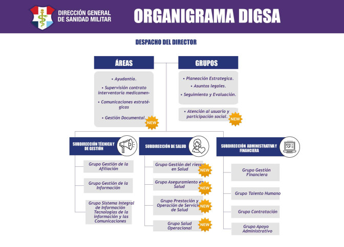 3.4. Organigrama